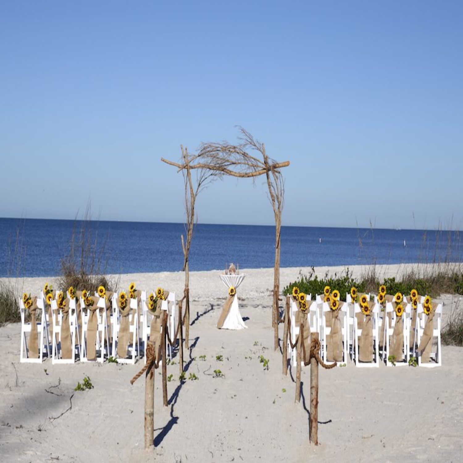 7 Sea Stars Starting At 1 390 Florida Beach Wedding Siesta Destination Wedding Wedding